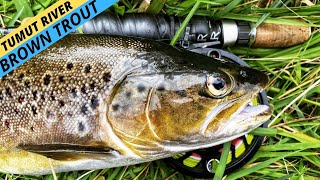 HOWTO See Trout and Catch Them in the Tumut River [upl. by Elberfeld]