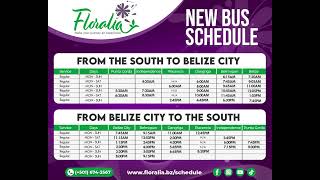 Belize Bus Schedule Floralias New amp Updated Schedule [upl. by Latsyk]