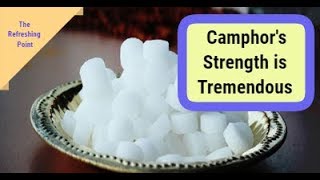 What is camphor Its Strength is Tremendous amp Its Healing Abilities are Effective  Uses amp Recipes [upl. by Ganny]