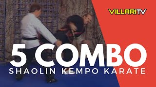 5 Combination  Shaolin Kempo Karate  Grandmaster Villari [upl. by Katushka]