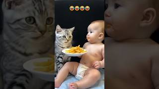 The ABSOLUTE CUTEST Cat and Baby Food Eating Duo [upl. by Sinaj]