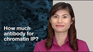 How much antibody should I use in Chromatin Immunoprecipitation ChIP assays  CST Tech Tips [upl. by Atikan]