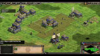 TooManyVariables Incas vs LibraTheVictor Berbers  AoE2 DE [upl. by Nathanson]