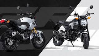 2024 Honda Grom ABS Your Pocket Rocket  Unveiling the Specs Features amp Price [upl. by Madancy]