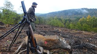 Hunting Exmoor Giants [upl. by Powell]