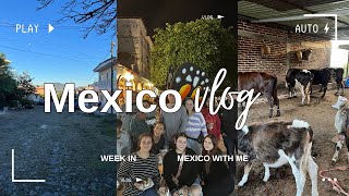 a week in my life in MEXICO 🇲🇽 [upl. by Ennoryt]