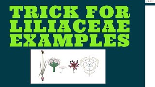 LILIACEAE EXAMPLES TRICK [upl. by Adnylam]