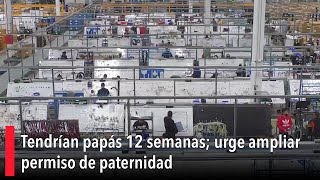 Tendrían papás 12 semanas urge ampliar permiso de paternidad [upl. by Irah606]