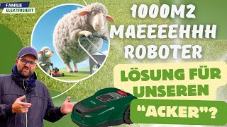 Parkside 1000m2 MähRoboter  Der Richtige für unseren quotAckerquot [upl. by Sosthina]