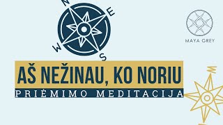 AŠ NEŽINAU KO NORIU  Priėmimo ir dėkingumo meditacija lietuviškai [upl. by Aleacin938]