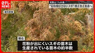 【花粉症対策】“花粉飛ばさないスギ”植え替え加速へ 農水省が方針示す [upl. by Sedicla454]