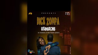 Dick Zompa  Usiniache Official Audio [upl. by Hpseoj658]