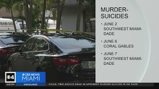 Mental health experts dives into signs causes that might have led to South Florida murdersuicides [upl. by Hertz128]