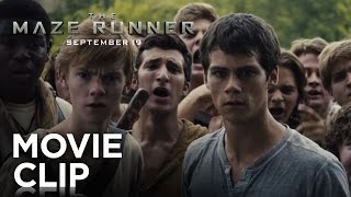 The Maze Runner  quotGood Jobquot Clip HD  20th Century FOX [upl. by Aniratak624]