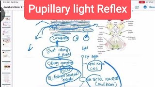 Pupillary light Reflex opthalmology 24  First Aid USMLE Step 1 in UrduHindi [upl. by Llerrej]