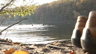 Goldener Oktober verführt Mutige zum Baden im Schlachtensee [upl. by Scheck]