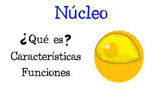 🌐 ¿Qué es el Núcleo 💥 Características y Funciones Fácil y Rápido  BIOLOGÍA [upl. by Hyde]