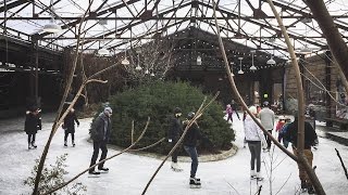 Evergreen Brick Works launches its Winter Village [upl. by Fonseca182]