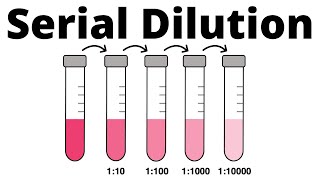 How to prepare a Serial Dilution [upl. by Palermo155]