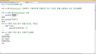 파이썬 강의  사용자 정의 함수 만들고 사용하기 [upl. by Duvall]