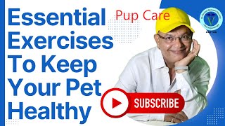 Essential Exercises to Keep Your Dog Healthy 2852 Weeks  GNP Sirquot [upl. by Bergstein]