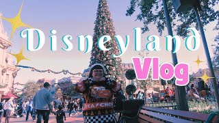 Spend the day with me at DISNEYLAND 🏰🐭November 2024 [upl. by Ahrendt]