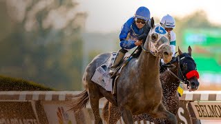 Live Horse Racing Stream FREE [upl. by Tremain]