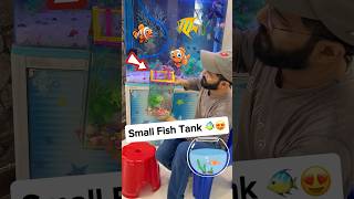 Smallest Fish Tank 🐠😍 oscarfish fish machhali fishvideo fishaquarium [upl. by Reisman]