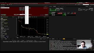 How To Sell Put Options Using Interactive Brokers IBKR [upl. by Henrik861]