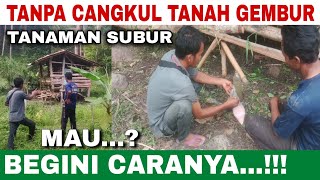 TANPA CANGKUL‼️TANAH GEMBUR TANAMAN SUBUR MAU BEGINI CARANYA [upl. by Fin]