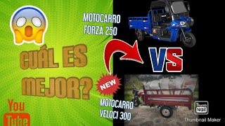 MOTOCARRO VELOCI 300 VS MOTOCARRO FORZA 250Cual es mejor🤔🧐 [upl. by Prentiss385]