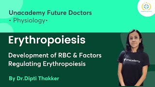 Erythropoiesis  Development of RBC amp Factors Regulating  Unacademy Future Doctors  DrDipti [upl. by Matusow]