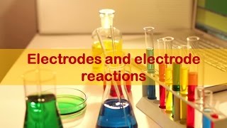 Episode  5 Electrodes and electrode reactions [upl. by Ot]