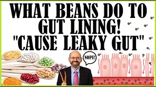 What Beans amp Lentils Do To Your Gut Lining Cause Leaky Gut [upl. by Orban845]