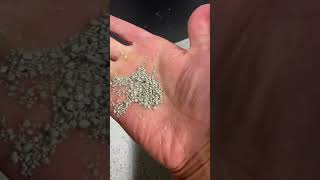 Clumping or Crystal Cat Litter 😻🐈‍⬛ shorts cat pets [upl. by Anail423]