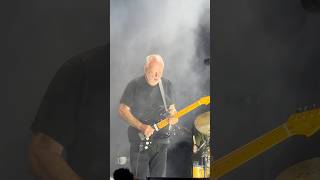 Comfortably Numb  David Gilmour Live at Crico Massimo Rome 2024 davidgilmour pinkfloyd rock [upl. by Jevon]