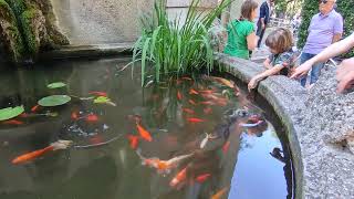 The Beautiful Historical Aquarium of Milan Italy in Sempione Park  June 2023 [upl. by Brost]