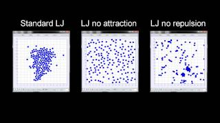 Modified LennardJones Fluid Simulation with EJS [upl. by Nnairahs933]