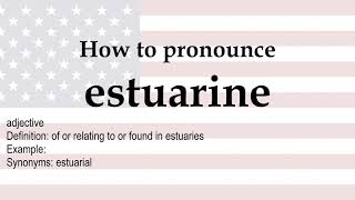 How to pronounce estuarine  meaning [upl. by Aehcsrop]