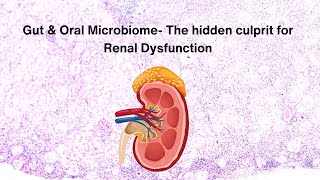 Gut amp Oral Microbiome The hidden culprit for Renal Dysfunction renaldisease kidneydisease [upl. by Latimer]