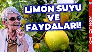 Canan Karatay Limon Suyunun Faydalarını ve Bilinmeyenlerini Anlattı [upl. by Auqkinahs768]