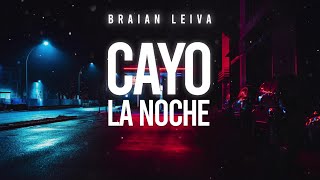 CAYÓ LA NOCHE Remix  La Pantera Quevedo Juseph  Braian Leiva [upl. by Leanne381]