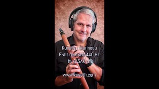 Kunath FChalumeau  FClarineau  Soulful playing by GSAX [upl. by Betteann390]