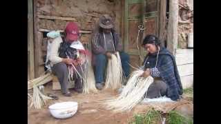 How Panama Hats are Made  A Cuencan Tradition [upl. by Dennison]