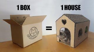 Transform a Simple Box into a Cat House [upl. by Rollie415]