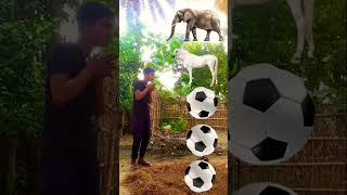 Hathi Khora Sher Bagh Kutta funny video hindudeity vfx official [upl. by Elidad]