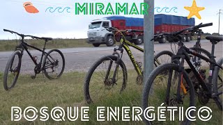 ALQUILAMOS BICIS Y NOS VAMOS AL BOSQUE ENERGÉTICO  miramar [upl. by Dulcine]