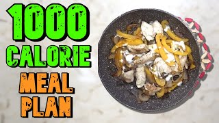 VERY Filling amp FAT Shredding 1000 Calorie Meal Plan [upl. by Jea507]