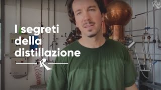 Distillati Capovilla Bassano del Grappa  i segreti della distillazione [upl. by Dari899]