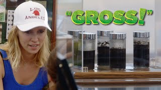 Gross Collectibles Prank [upl. by Tyrone869]